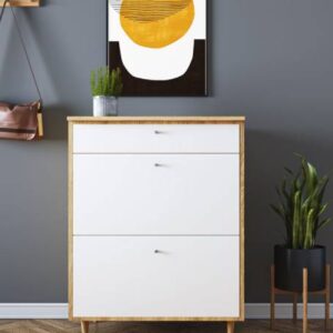 Scandinavian Foyer Design with Floor-Mounted Shoe Storage