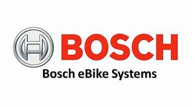 bosch.jpg